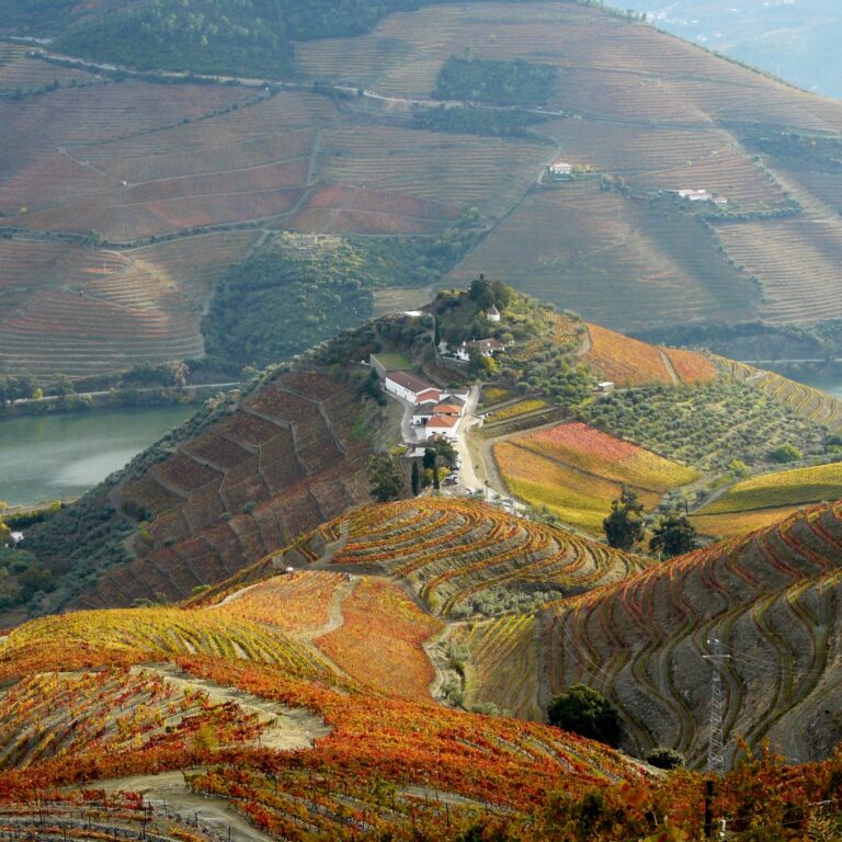 400 anos de Quinta do Crasto | Unibanco