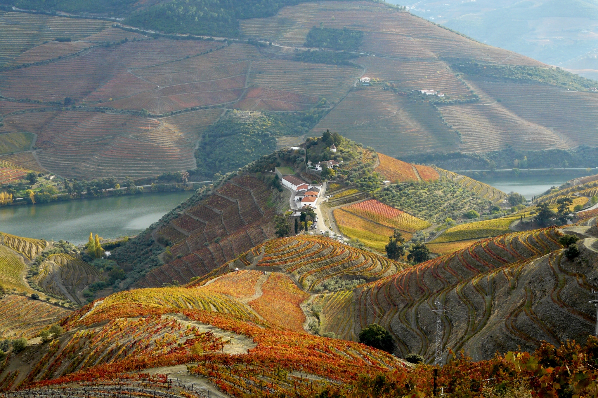 400 anos de Quinta do Crasto | Unibanco