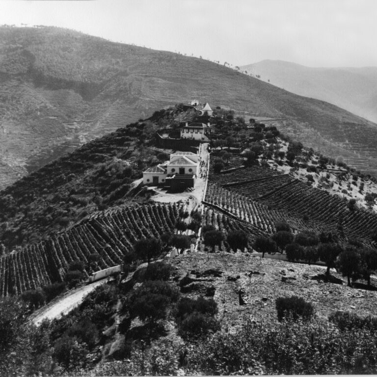 400 anos de Quinta do Crasto | Unibanco