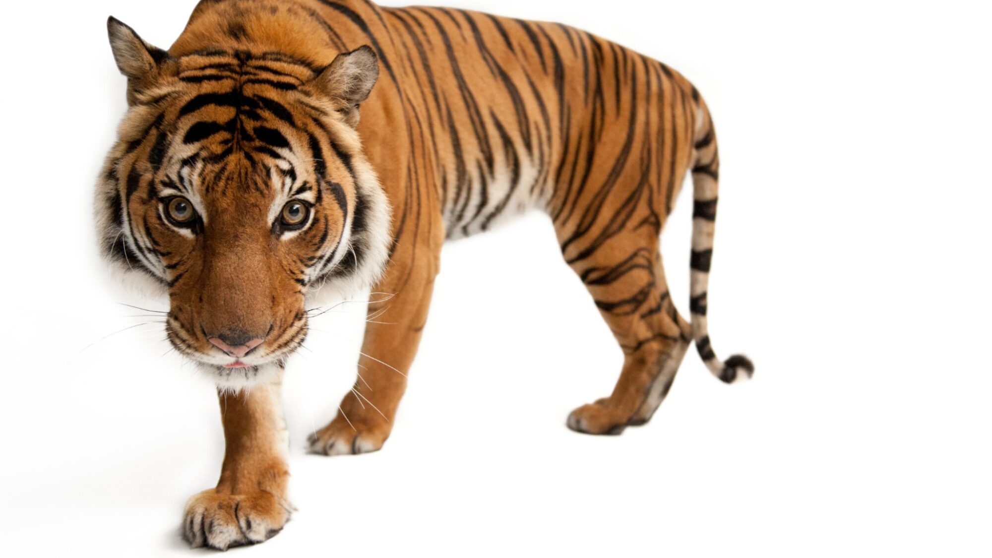 Exposições em Lisboa para visitar em família