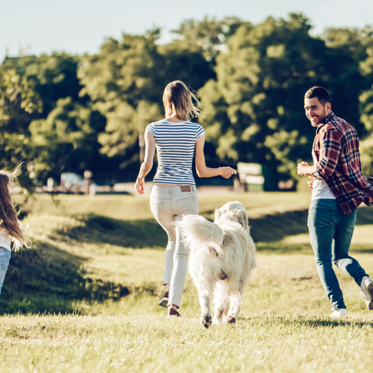 De férias com toda a família: hotéis que aceitam animais | Unibanco