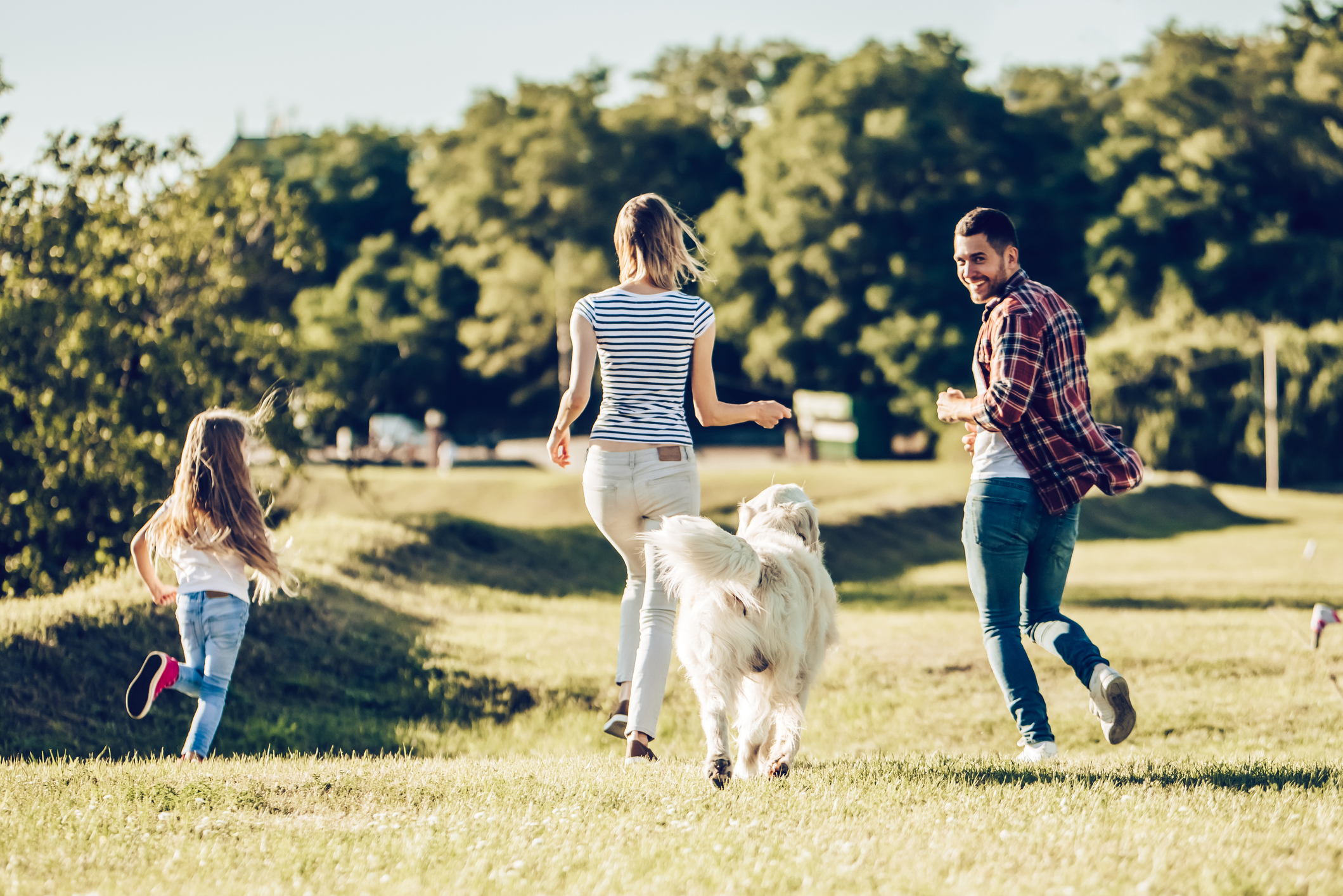 De férias com toda a família: hotéis que aceitam animais | Unibanco