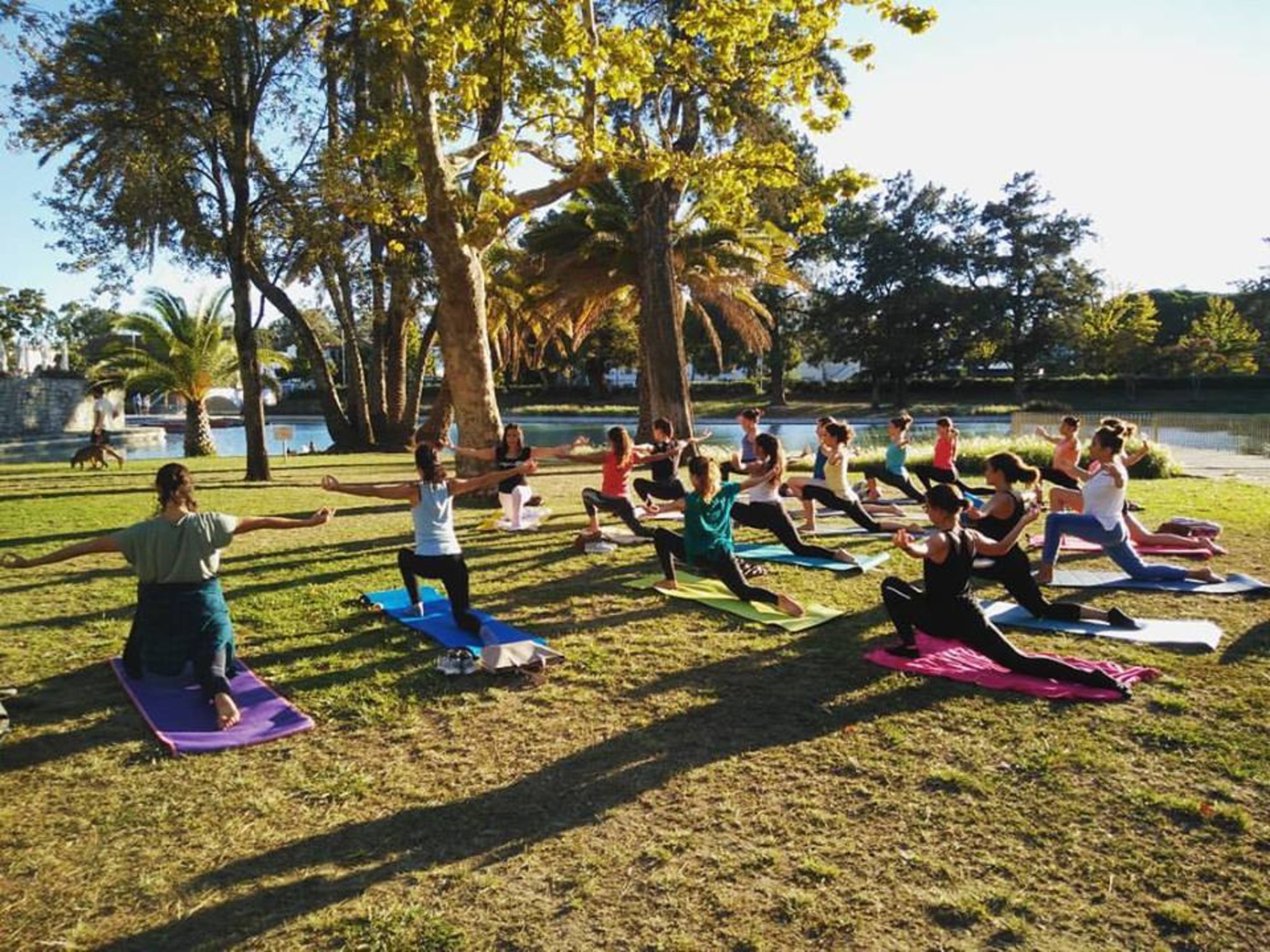 Os melhores locais para fazer  yoga  em Lisboa e no Porto | Unibanco