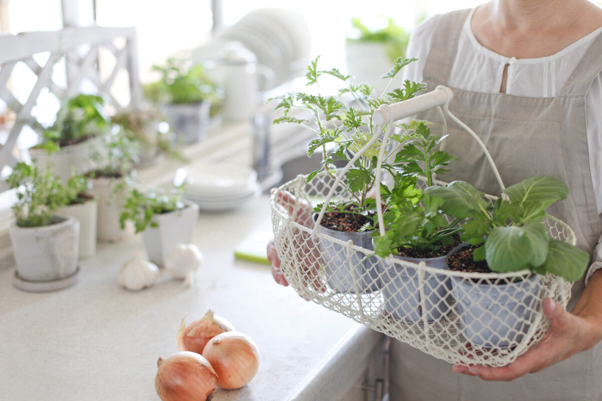 Tudo o que precisa para cozinhar como um chef | Unibanco