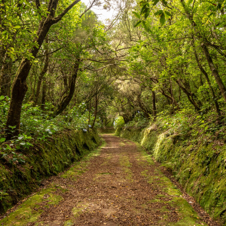 Trilhos na natureza em Portugal que não pode perder | Unibanco