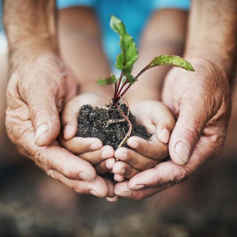 11 ideias sustentáveis, pelo bem do planeta