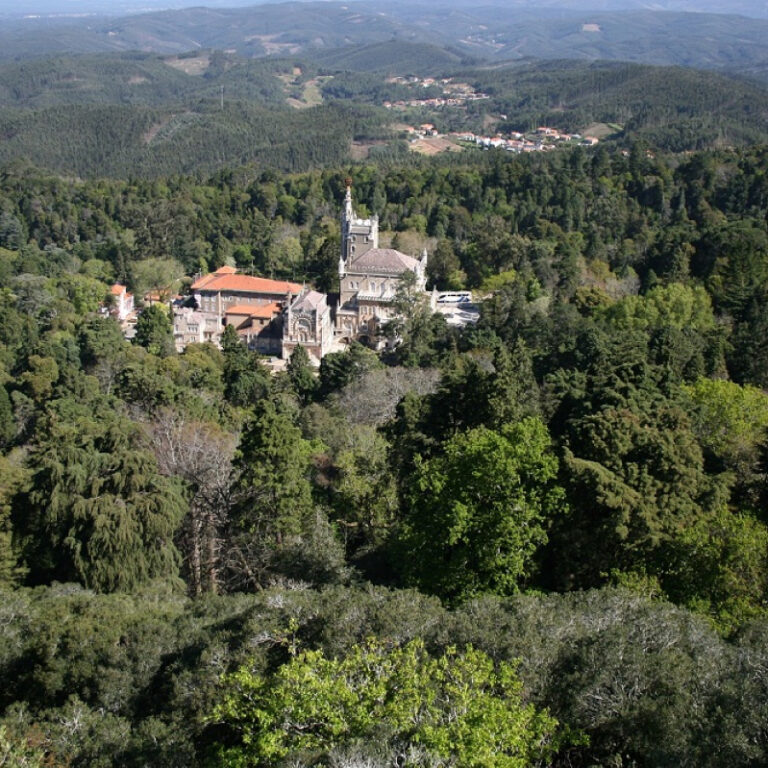 Os jardins mais bonitos de Portugal | Unibanco
