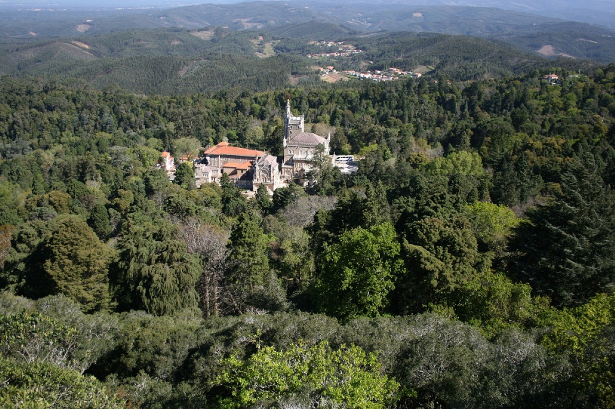 Os jardins mais bonitos de Portugal | Unibanco