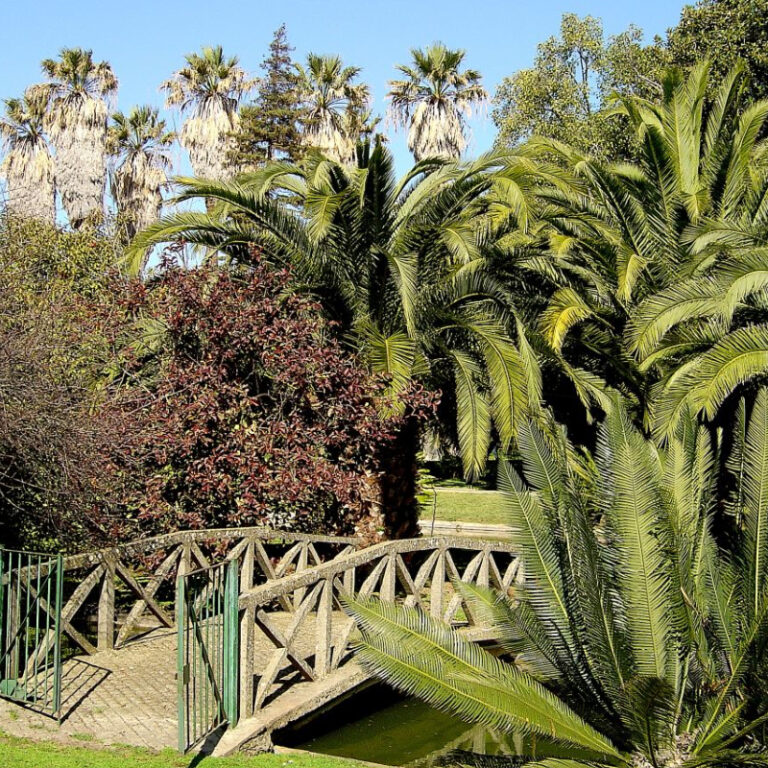 Os jardins mais bonitos de Portugal | Unibanco