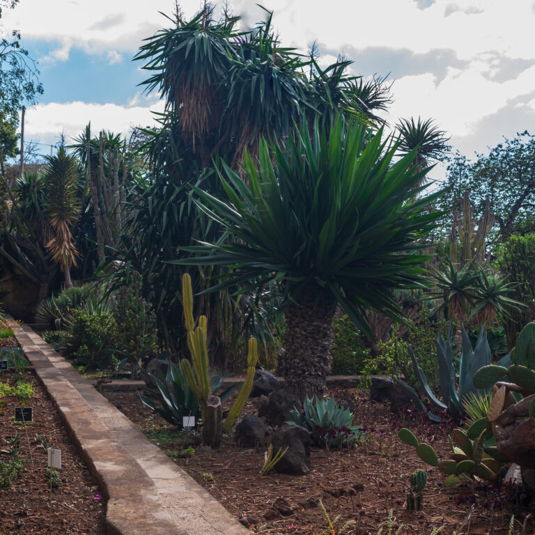 Os jardins mais bonitos de Portugal | Unibanco