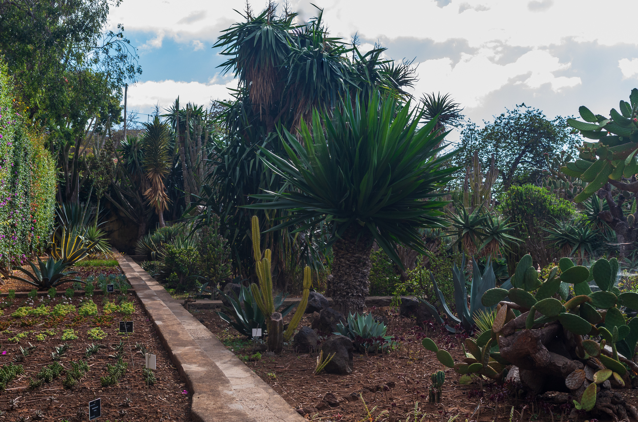 Os jardins mais bonitos de Portugal | Unibanco