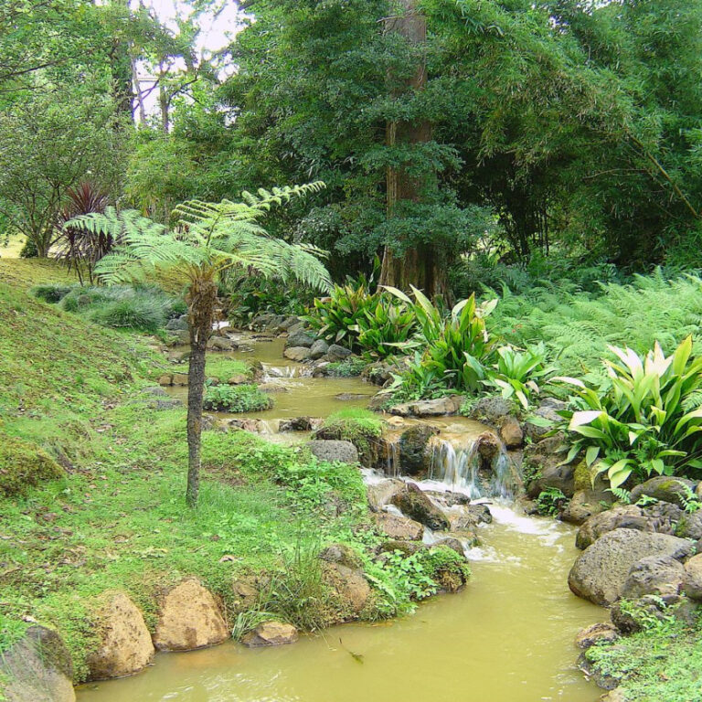 Os jardins mais bonitos de Portugal | Unibanco