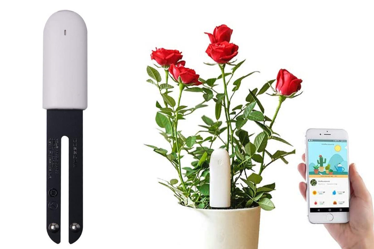 9 gadgets para cuidar das plantas com muito carinho | Unibanco