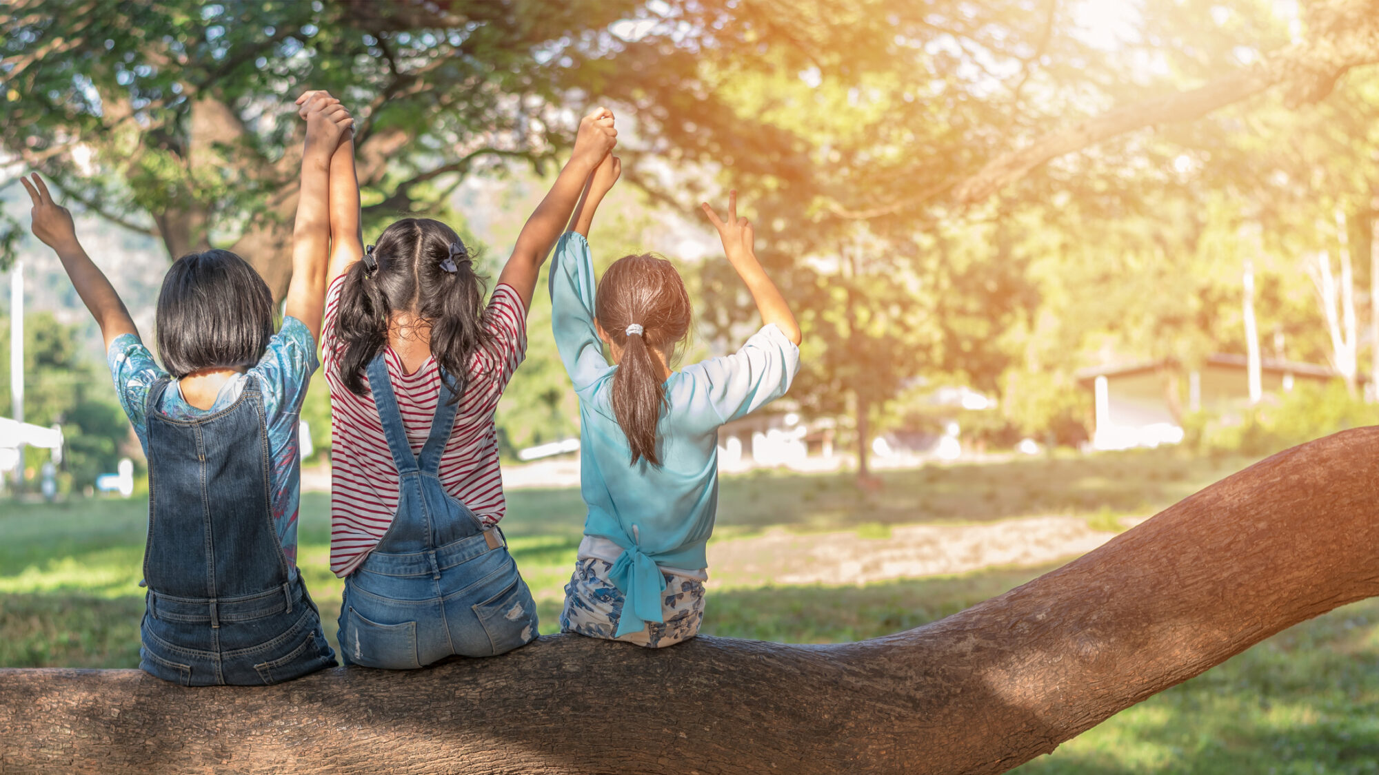 Dia Mundial do Ambiente: 5 hábitos (mais 1) para ajudar a salvar o Planeta
