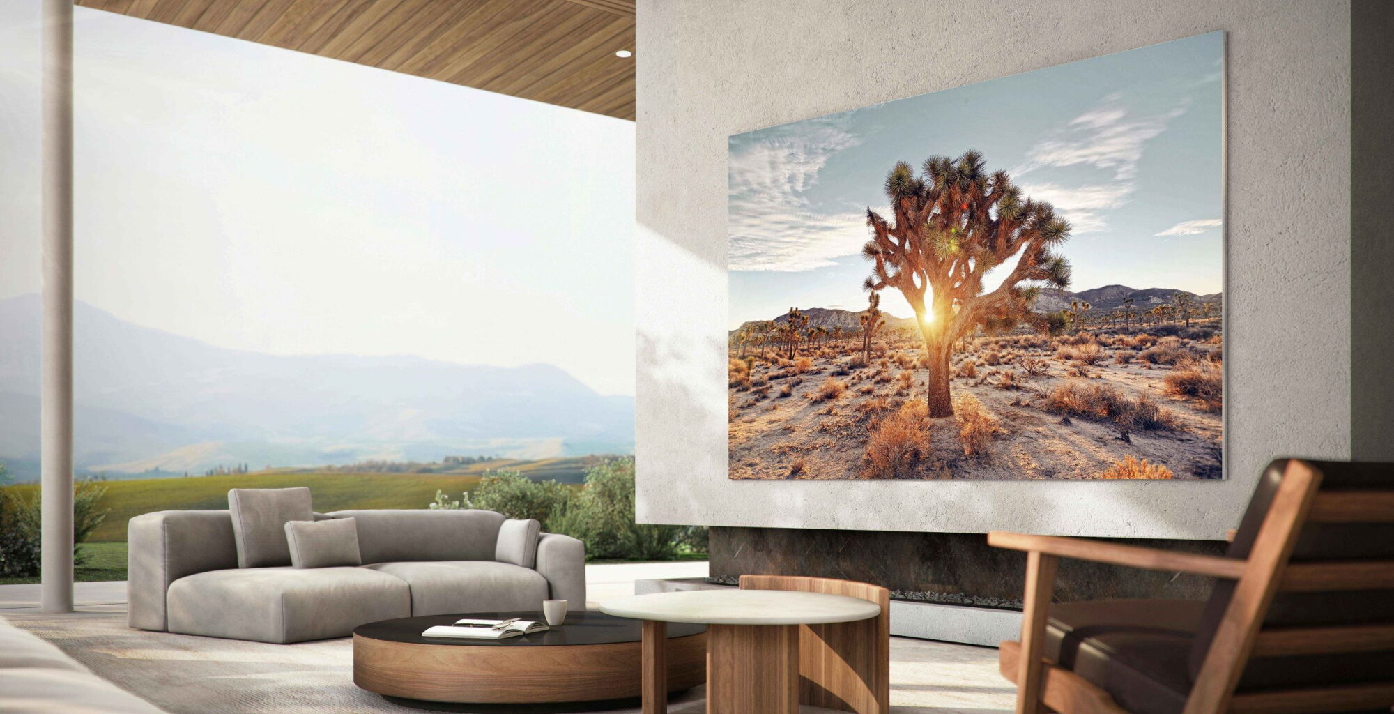 TV QLED vs. OLED: qual devo comprar?