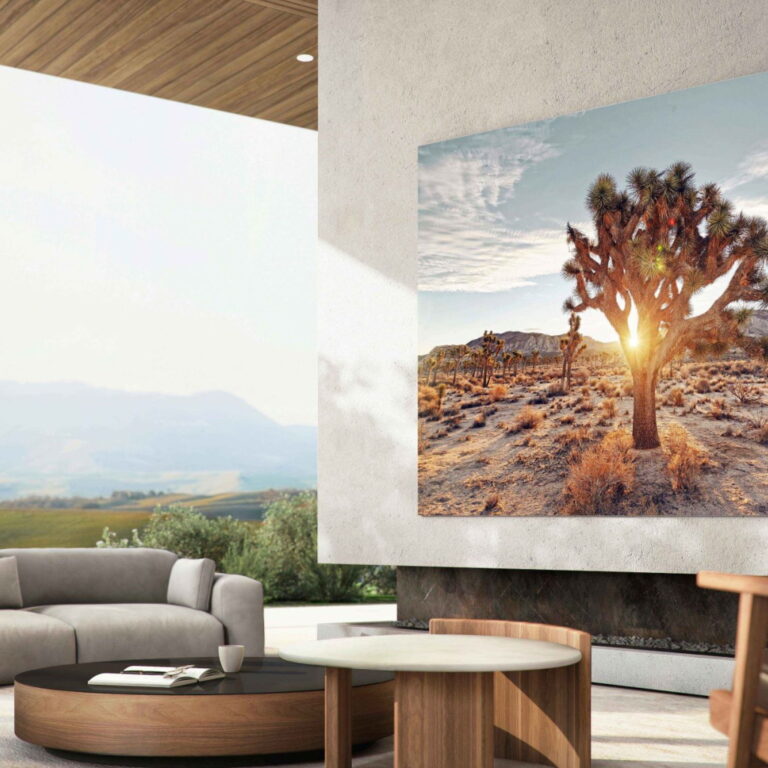 TV QLED vs. OLED: qual devo comprar?