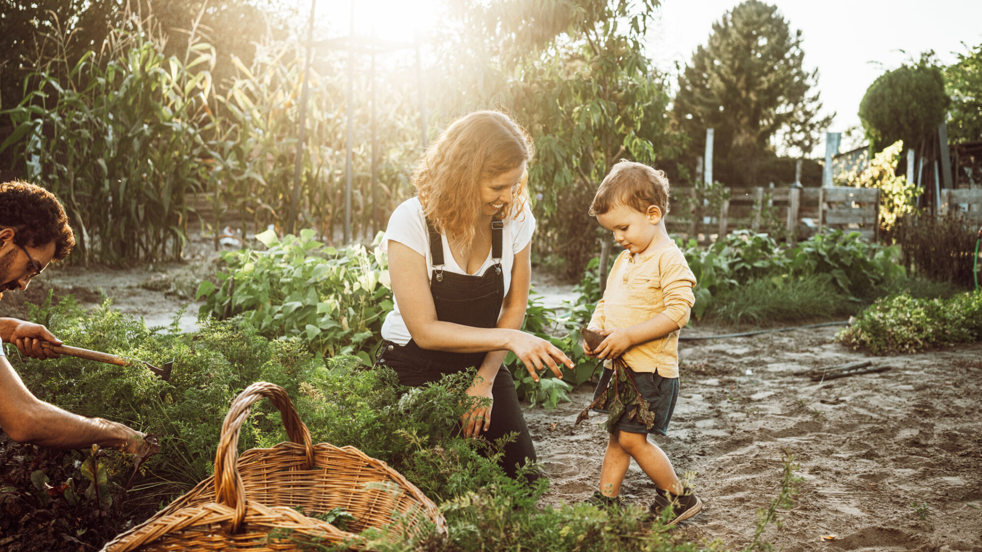 10 Dicas para levar uma vida mais sustentável
