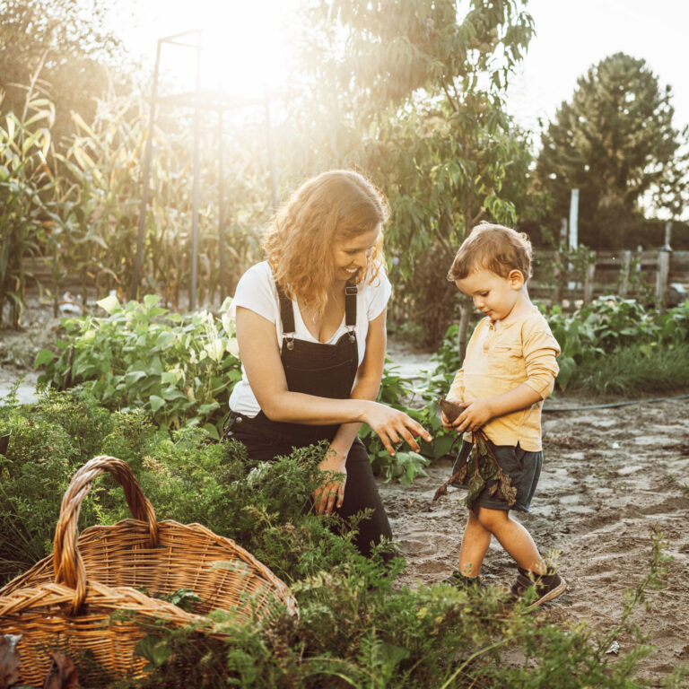 10 Dicas para levar uma vida mais sustentável