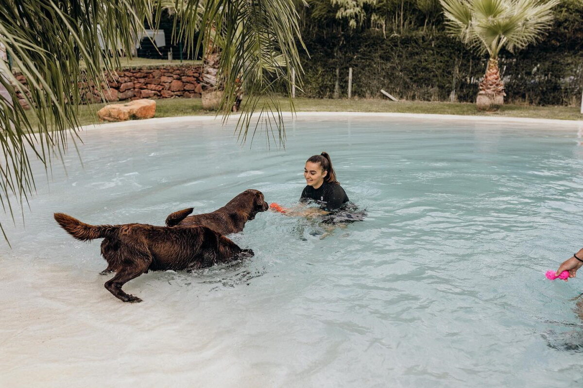 Animais de estimação: este verão, não fica ninguém em casa | Unibanco