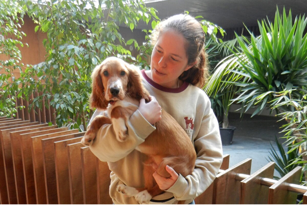 11 hotéis onde pode deixar os seus animais de estimação | Unibanco