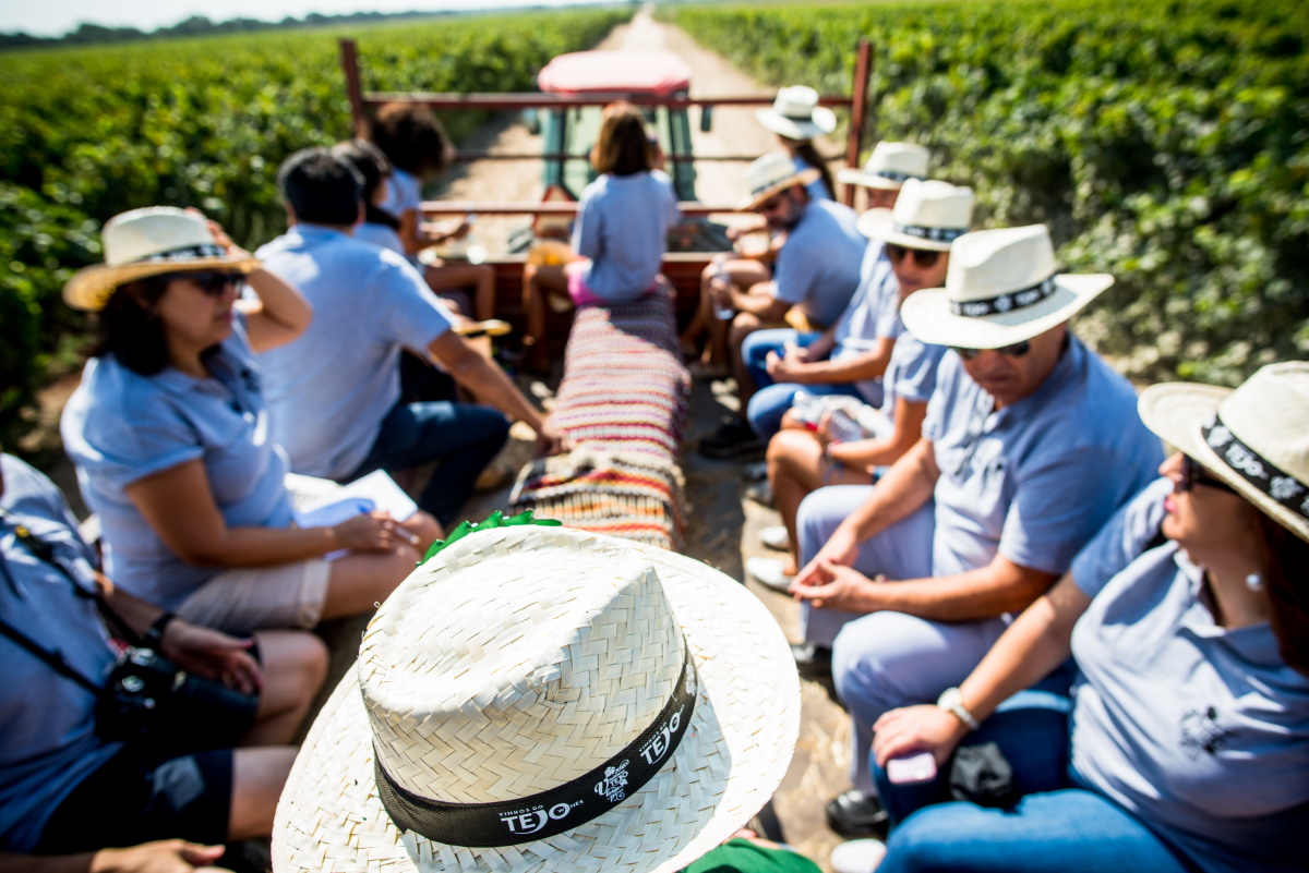 15 enoturismos para o verão | Unibanco