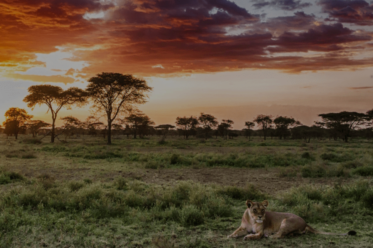 Tanzania paisagem