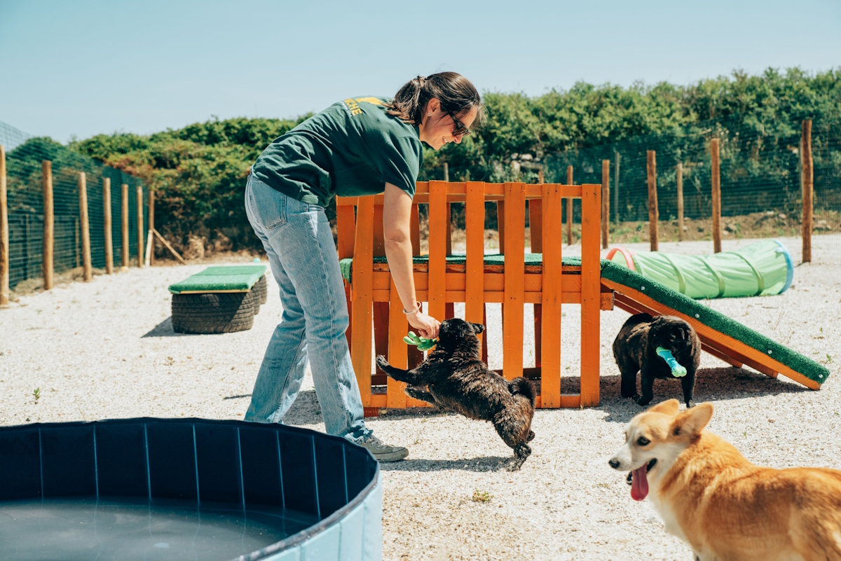 11 hotéis onde pode deixar os seus animais de estimação | Unibanco