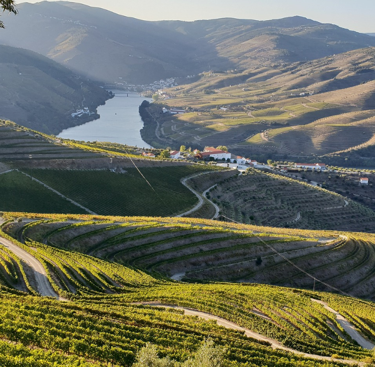 Como tornar Portugal um país mais sustentável?