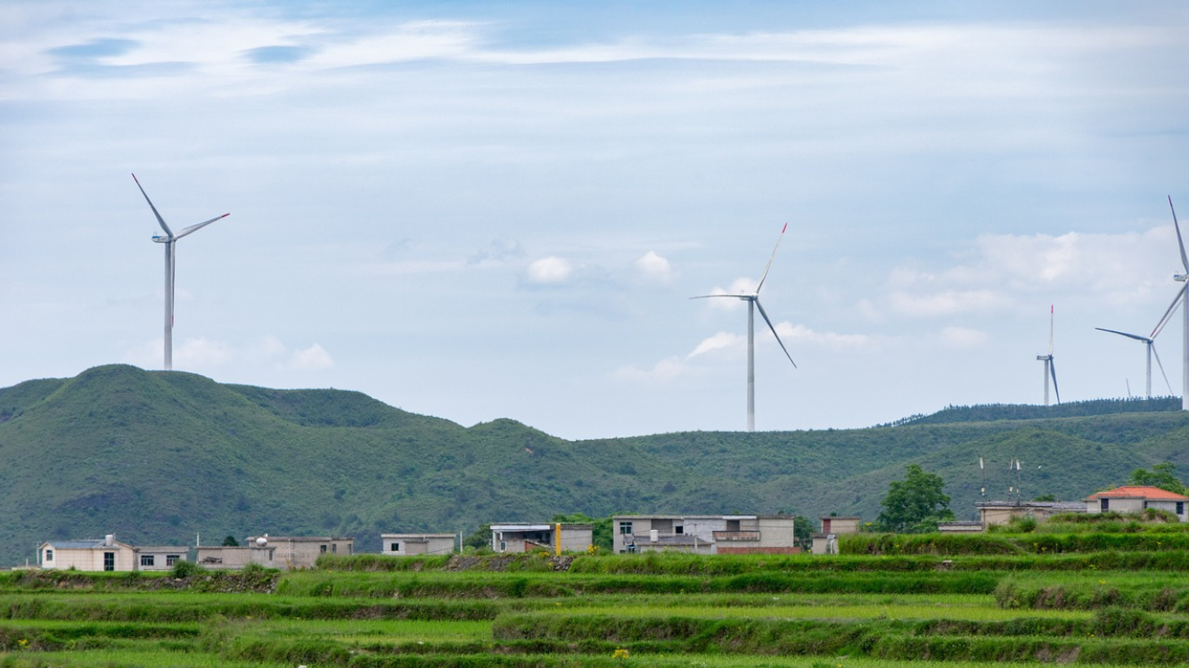Desenvolvimento sustentável: o que é?