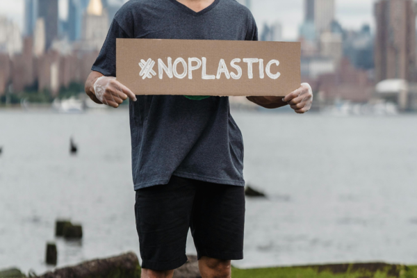 <strong>Dia do Ambiente: Dicas ecológicas para pôr em prática</strong>