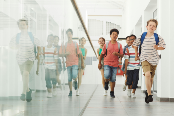 Ano Letivo 2024/2025: Férias, Feriados e Exames