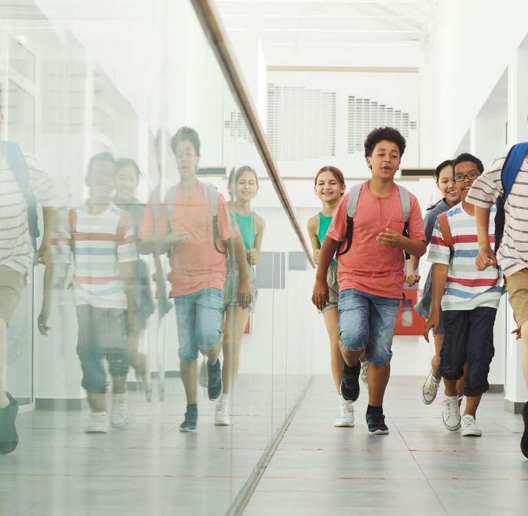 Ano Letivo 24/25: Férias, Feriados e Exames