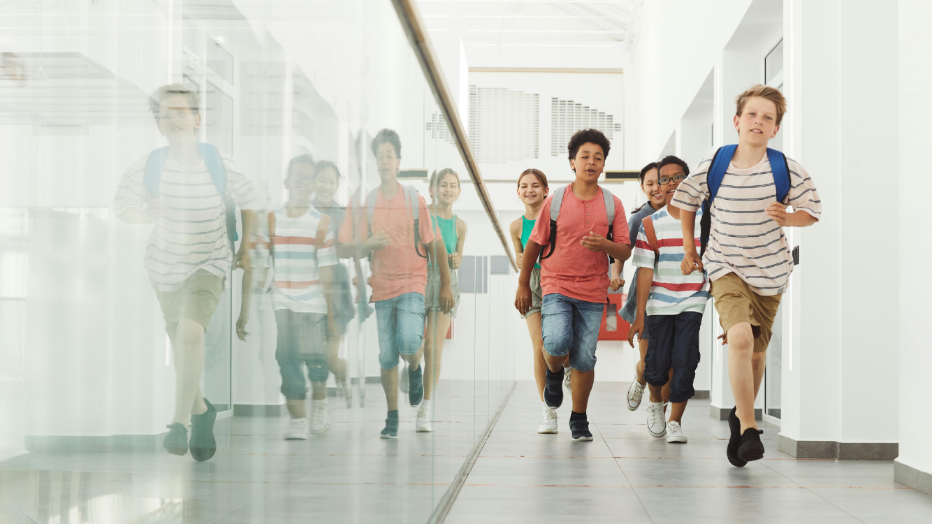 Ano Letivo 24/25: Férias, Feriados e Exames