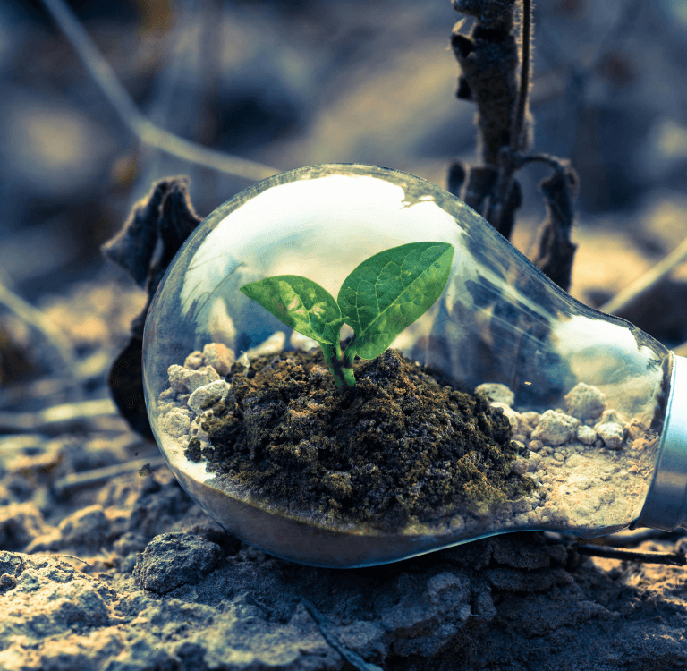 O que significa economia circular?