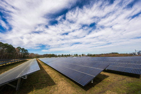 <strong>De que forma o Governo português está a incentivar as energias renováveis?</strong>