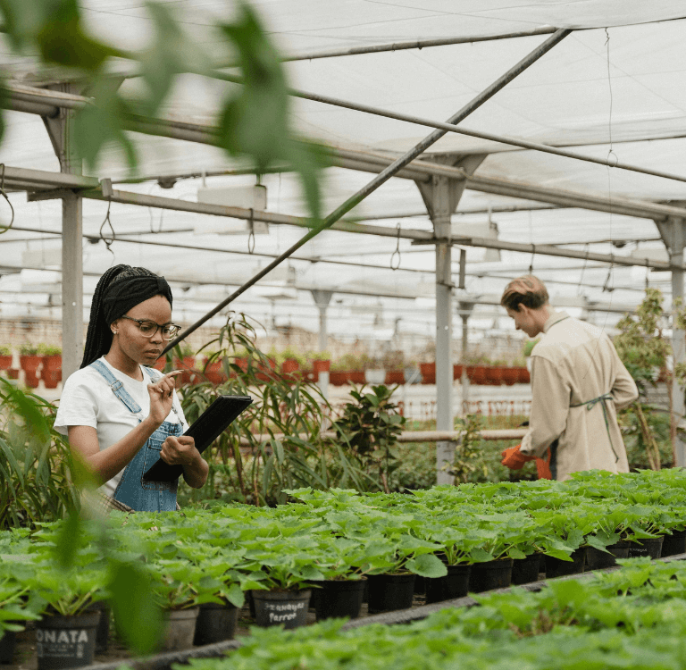 Como a sustentabilidade permite definir o sucesso empresarial?