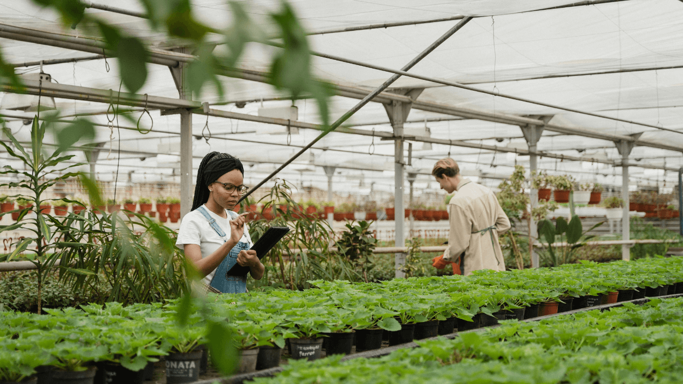 Como a sustentabilidade permite definir o sucesso empresarial?